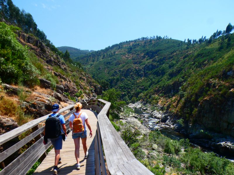 Tourists walking on the Passadiços do Paiva, on a sunny day, overlooking the valley of the Paiva River. Guided tour